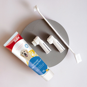 Kit dentaire 3-en-1 moderne en plastique écologique pour chats, saveur bœuf, brosse à dents et dentifrice, vente en gros usine - Product Image 6