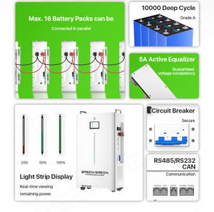 BasenGreen Split 16KWh 51.2V 314Ah CAN <b>Battery</b> Pack Wall-<b>Mounted</b> Home Solar Energy Storage CE Certified Free - Product Image 3