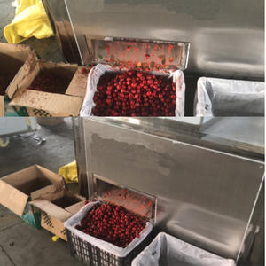 Machine industrielle de dénoyautage de cerises, machine de retrait des noyaux de cerises, Chine - Product Image 5