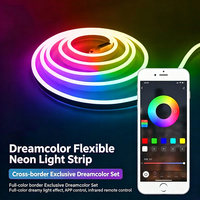 Ruban LED néon en silicone de haute qualité, indice de protection IP67, alimentation 5V DC, dimmable, couleur pleine, durée de vie de 15 000 heures, garantie d'éclairage d'un an