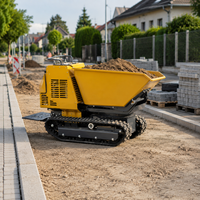 Hochleistungs-Mini-Dumper-Truck mit Hydraulischem Raupenlader, Frontlader und Selbstladefunktion für