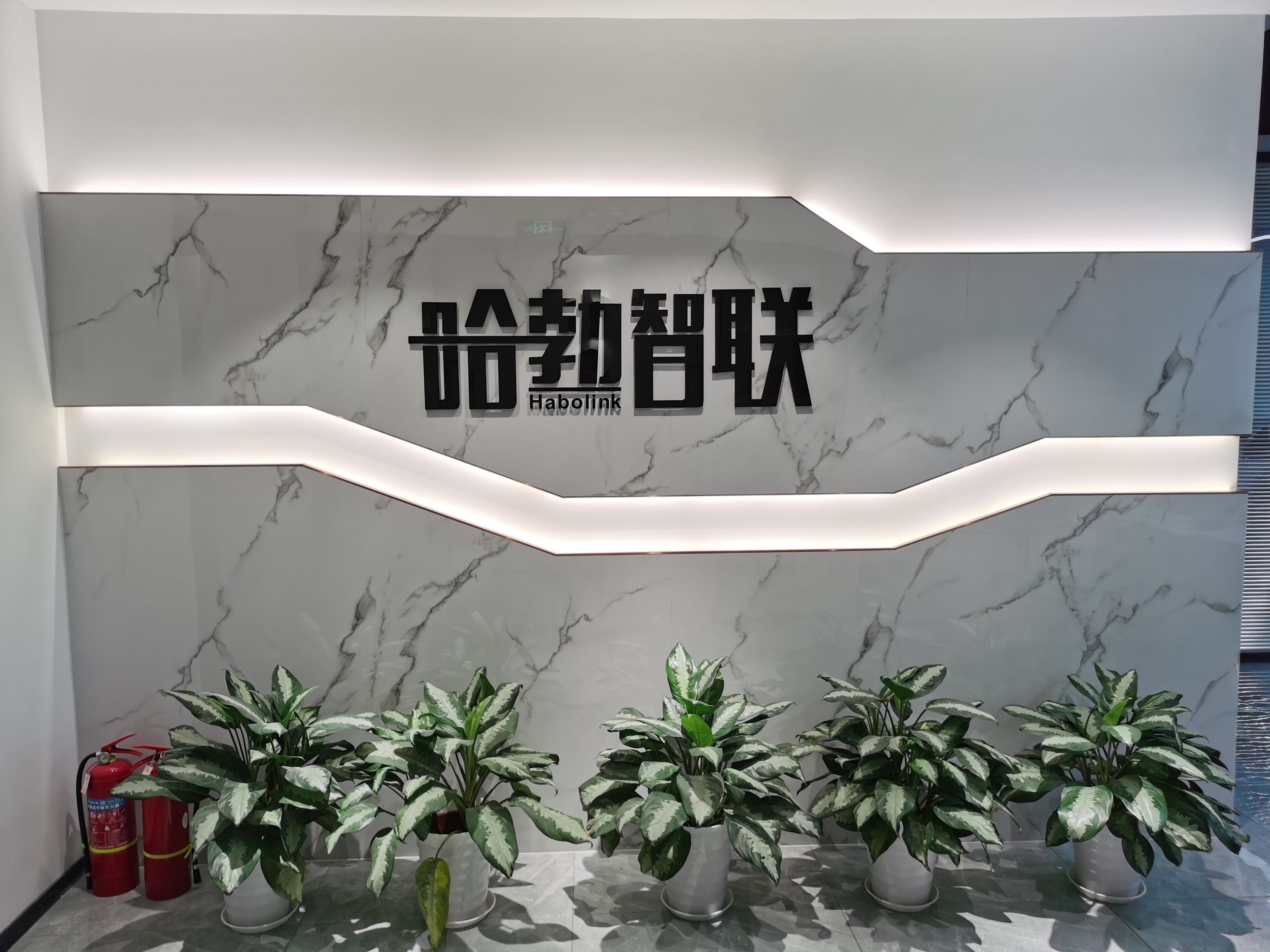 Habolink Technology Co.,Ltd logo