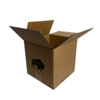 Boîte d'expédition personnalisée en carton ondulé entièrement imprimée pour boissons en conserve, expédition sécurisée