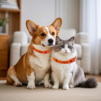 Nouveauté Détecteur d'état de santé des animaux de compagnie 4g Mini collier de suivi de santé GPS pour chien avec application gratuite