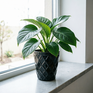 กระถางดอกไม้เซรามิคลายนูนเพชรขายดีปี 2026 จากโรงงานโดยตรง สำหรับตกแต่งบ้าน สวน ระเบียง สำนักงาน ทั้งภายในและภายนอกอาคาร - Product Image 4