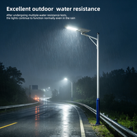 Lampadaire solaire tout-en-un en acier au carbone avec détecteur de mouvement 80W 100W MPPT IP65 étanche pour route, autoroute, projet municipal