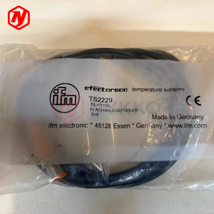 Sensor de Superficie Pt100 Clase A Ifm TS2229 Original con Cable PUR de 2 Metros para Medición Directa en Maquinaria - Product Image 4