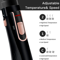 Nouveau 1200W 2 en 1 brosse à air chaud professionnelle sèche-cheveux brosse Styler