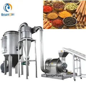 Brightsail Indian Masala Powder Making Brightsail 60 Mesh Turmeric Grinding Machine with Industrial Price