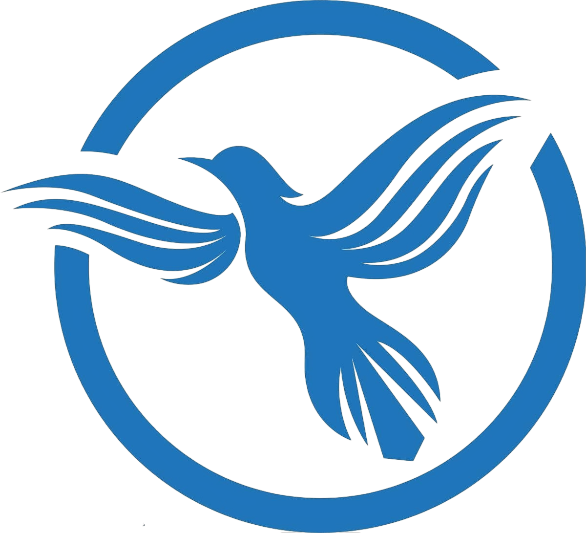 Zhongshan Delia Technology Co., Ltd. logo