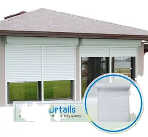 Residenziale esterno termoisolato automatico e manuale di controllo roll up in alluminio avvolgibile porta del garage