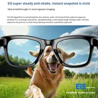 Gafas Inteligentes W610 2025 con Lente de Cámara de Reconocimiento de Fotos, para Música, Llamadas, IA, Preguntas y Respuestas, Grabación, Control Táctil, Marco de PC+ABS