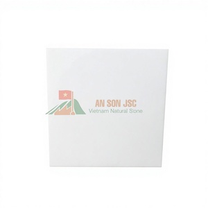 Losas de Mármol Blanco Estilo Carrara de Vietnam, Pulido y Mate, Material de Construcción para Decoración de Interiores, Uso en Exteriores y Villas - Product Image 1