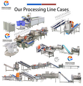 Línea de Equipos para el Procesamiento de Granada para Uso Industrial 1-3T/H: Lavado, Desgranado, Prensado de Jugo y Separación de Jugo-Pomada - Product Image 6