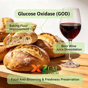 Glucose oxydase (GOD) CAS 9001-37-0, marque ZEAL, poudre de qualité industrielle pour l'alimentation, l'alimentation animale, la pharmacie, la pâtisserie, les boissons, la conservation, les biosenseurs - Product Image 2