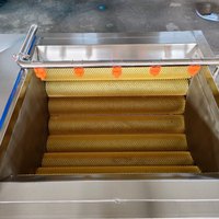 Industriële aardappel schilmachine borstelwas- en schilmachine voor chips productielijn