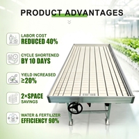 Table roulante mobile à flux et reflux pour économie d'eau avec éclairage de croissance supplémentaire pour l'agriculture hydroponique de semis en serre