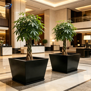 Maceta Cuadrada de Metal ML, Moderna y Minimalista, con Recubrimiento en Polvo Negro, para Plantas de Jardín - Product Image 2