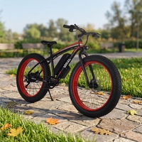 Powerful Adult Electric Motorcycle E Motorcycle for Urban Roads and Daily Commuting Dirt Bike Aluminum Alloy Frame 21speed