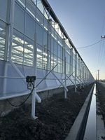 Multi-span grote landbouwkas van polycarbonaat, lage kosten & hoge opbrengst, geschikt voor tomatenteelt