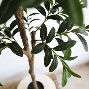 Árboles de Olivo Artificiales Enviados Directamente de Fábrica - Plástico Ecológico Reciclable y Duradero para Decoración de Bodas y Navidad - Product Image 5