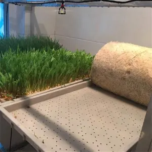 Automatic hydroponic wheat,alfalfa seedlings,wheatgrass barley breeding tray for growing animal and livestock feed