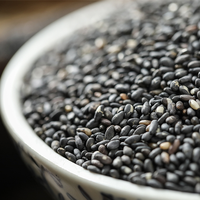 Vente en gros de graines de sésame noires naturelles 100% graines de sésame noires crues pour aliments santé purs