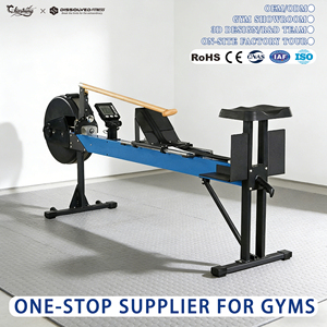 Equipo comercial de Club de fitness, máquina de <span class=keywords><strong>remo</strong></span> de bote de dragón para ejercicio en interiores, máquina de <span class=keywords><strong>remo</strong></span> de ergómetro de bote de dragón de aire - Product Image 1