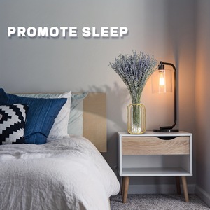 G178 Vente en gros de fleurs de lavande séchées, naturelles et éternelles pour la décoration de salle de bain et la décoration de la maison - Product Image 4