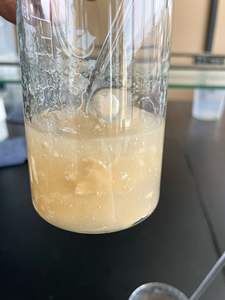 Kilo kaybı 99% Semen Plantaginis toz Psyllium kabuğu özü - Product Image 3