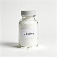 Poudre d'acides aminés non aromatisée pour les boissons sportives, les smoothies, les compléments post-entraînement, supplément de fitness OEM, poudre de L-Lysine