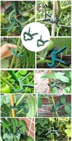Pack personnalisé vert PP matériel horticole mur fixe Clips pour tomate fleur pot de jardin jardinière Clips pour la plantation