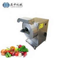 China Leverancier Industriële Multifunctionele Groente Fruit Snijden Snijmachine Food Grade