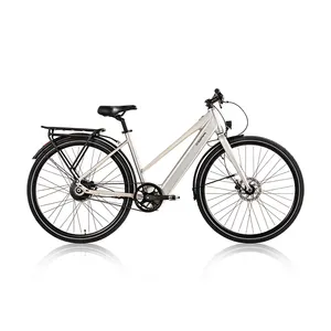 Hot Sale Italian Premium Single Speed Gears Aluminum Alloy Electric City Bike Over 60 Km Range Per Power