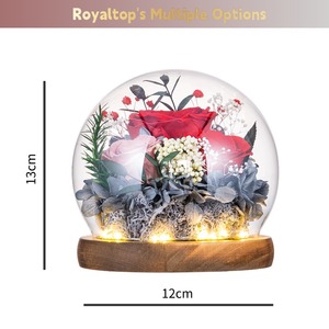 Vente en gros Boîte-cadeau de fleurs conservées à LED Trois roses pour toujours roses avec feuilles vertes et mousse dans une bouteille en verre - Product Image 3
