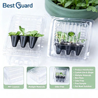 Bandeja de Plástico Personalizada para Semilleros, Contenedor de Vivero para Plantas, Tamaño y Forma Personalizados, PET