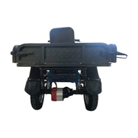 Triciclo Paige de Gran Potencia, Otros Triciclos Motorizados, Scooter de 3 Ruedas, Motocicleta de Baja Velocidad, Triciclo Eléctrico 60V 1500w