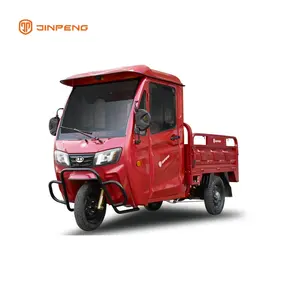 Mini furgone elettrico del carico del trike del carico del caricatore elettrico del carico da vendere
