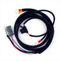 Faisceau de câblage électronique automobile, câble de connexion pour véhicule électrique, faisceau de câblage de moto, assemblage de câbles - Sheng Yikai