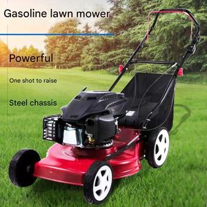 Tondeuse à gazon autotractée à essence quatre temps, type poussée manuelle, pour désherbage - Product Image 2