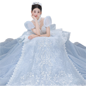 Abito da <span class=keywords><strong>sposa</strong></span> principale blu 2025 di alta qualità per le piccole spose moderno abito da ballo taglie forti ispirato alla principessa fuggitiva francese - Product Image 1