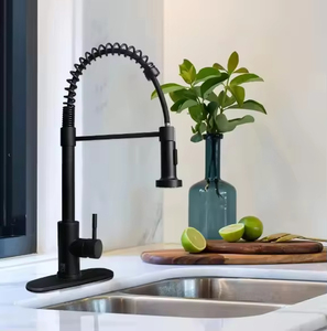 <span class=keywords><strong>Grifo</strong></span> <span class=keywords><strong>de</strong></span> <span class=keywords><strong>cocina</strong></span> comercial monomando <span class=keywords><strong>de</strong></span> un solo orificio para encimera, con <span class=keywords><strong>grifo</strong></span> extraíble y rociador <span class=keywords><strong>de</strong></span> resorte, para agua fría y caliente - Product Image 6