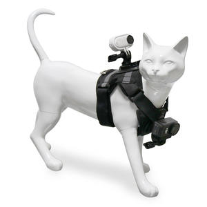 Support de caméra double Inspire GO 3 pour la prise de vue en vue duveteuse par les chats, avec support photo pour caméra DJI Action - Product Image 4