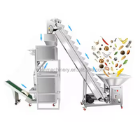 Machine à emballer électrique à grande vitesse personnalisable de granule avec le chargeur de seau