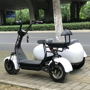 Motocyclette à side-car 2026, 3 roues, électrique, <span class=keywords><strong>pliable</strong></span>, avec side-car de transport, scooter, <span class=keywords><strong>tricycle</strong></span>, kit side-car pour chien, enfant, chopper - Product Image 1
