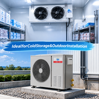 Système de réfrigération par condensation pour congélateur, capable de remplacer n'importe quel compresseur de marque reconnue, avec dégivrage double à gaz chaud et à fluorine chaude