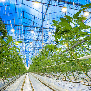 Serre en verre isolé trempé à contrôle solaire de haute qualité de grande taille pour la culture de légumes à des fins agricoles - Product Image 3