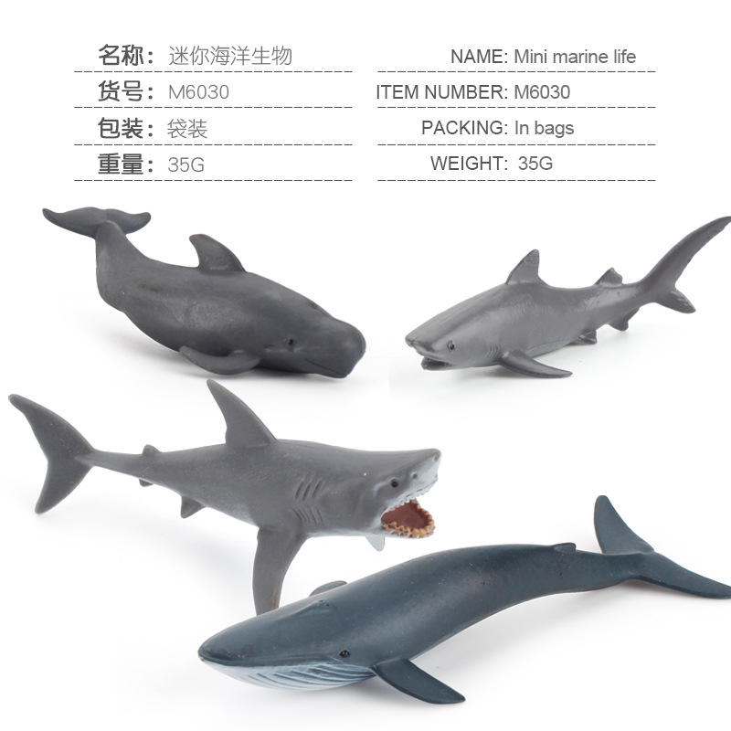 M6030-Modelo Biológico Marino 35g