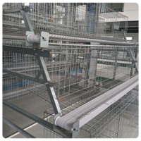 Équipement d'élevage avicole entièrement automatique à longue durée de vie pour poules pondeuses, en acier galvanisé à chaud, pour ferme moderne - Vente en gros