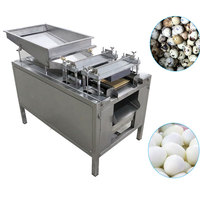 Équipement professionnel pour l'industrie de la production d'œufs, système automatique durable de décorticage des œufs de caille, machine à décortiquer en acier inoxydable 304